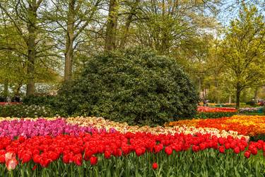 Similar image 21357226