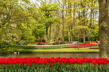 Similar image 21357230