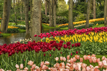 Similar image 21357236