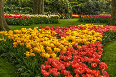 Similar image 21357245