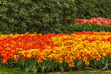 Similar image 21357247