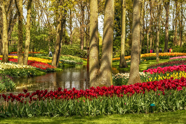 Similar image 21357249