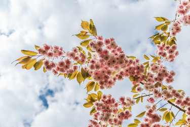 Similar image 21357252