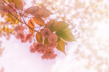 Similar image 21357254