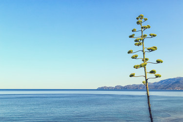 Similar image 21357260