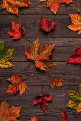 Similar image 21357268