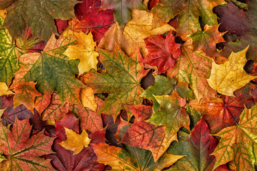 Similar image 21357270