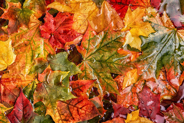 Similar image 21357272