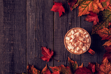 Similar image 21357282