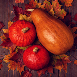 Similar image 21357299