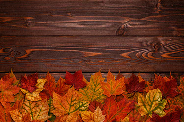 Similar image 21357307