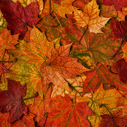 Similar image 21357311