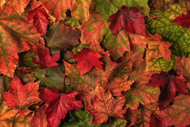 Similar image 21357313