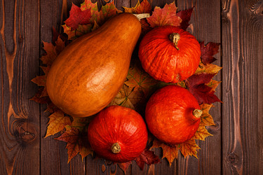 Similar image 21355926