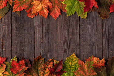 Similar image 21355928