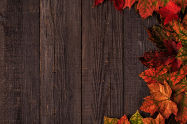 Similar image 21355931