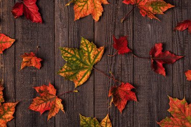 Similar image 21355935