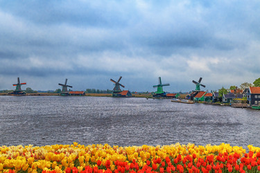 Similar image 21355956