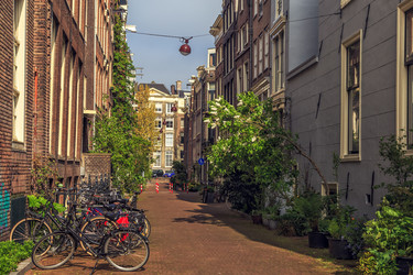 Similar image 21355990