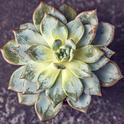 Similar image 21355720