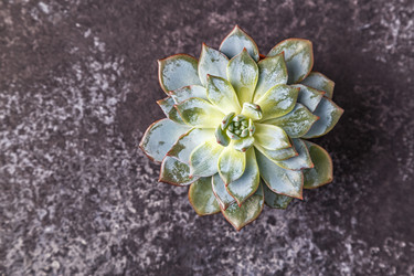 Similar image 21355722