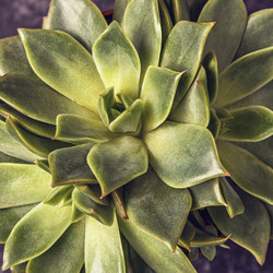 Similar image 21355724