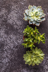 Similar image 21355726