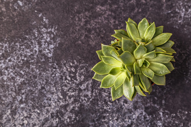 Similar image 21355750