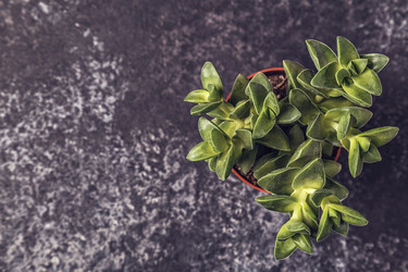 Similar image 21355752