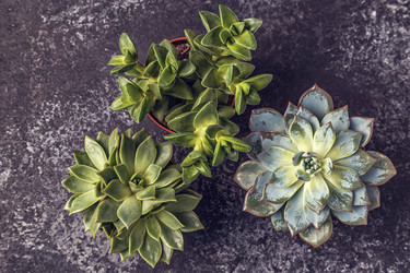 Similar image 21355754