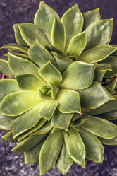 Similar image 21355758