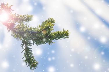 Similar image 21356442