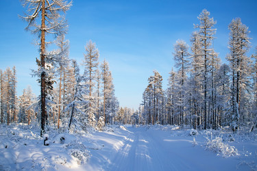 Similar image 21356443