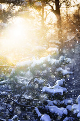 Similar image 21356473