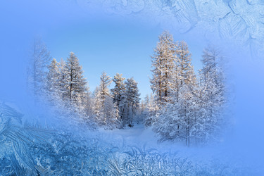 Similar image 21358242