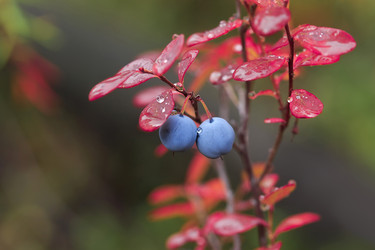 Similar image 21358245