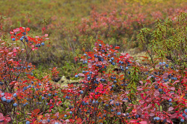 Similar image 21362050