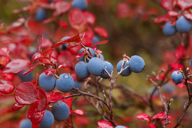 Similar image 21362051