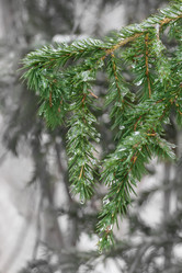 Similar image 21362056