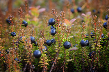 Similar image 21362208