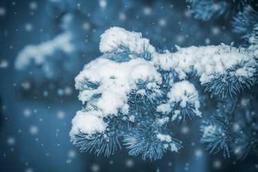 Similar image 21362217