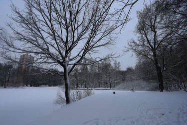 Similar image 21368887