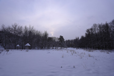 Similar image 21358685