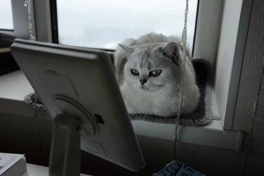 Similar image 21357815