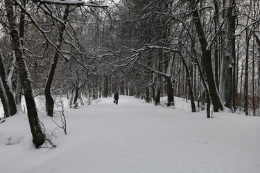 Similar image 21357816