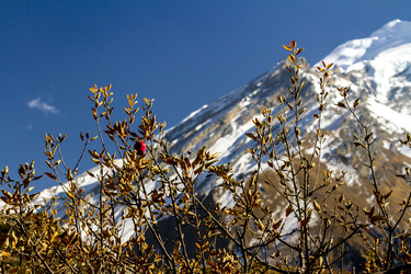 Similar image 21355899