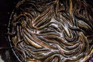 Similar image 21355904