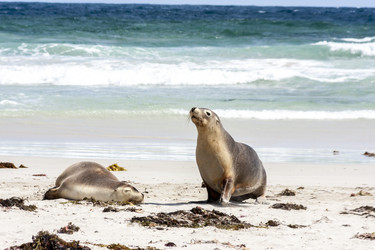 Similar image 21355907