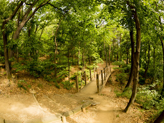 Similar image 21355911