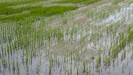 Similar image 21355914